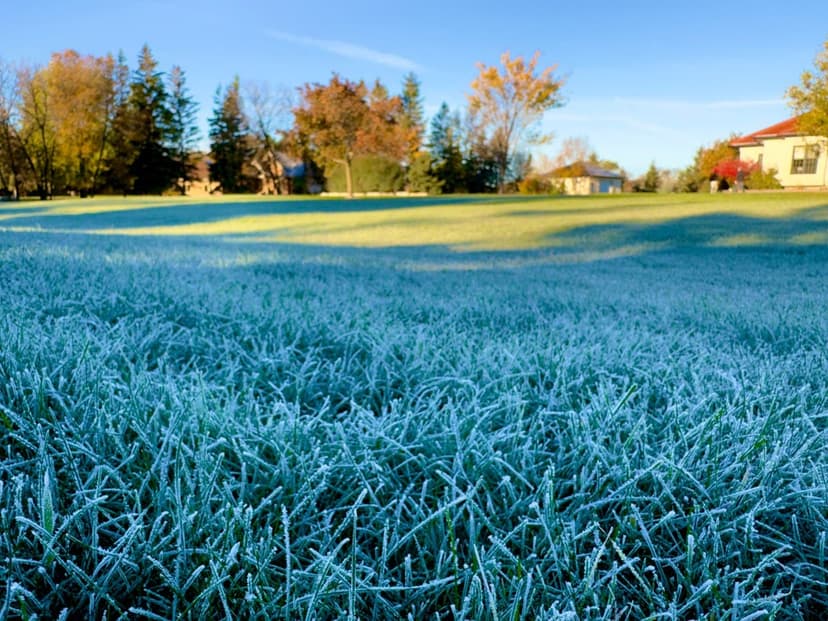Northeast Braces for Overnight Freeze Conditions, Potential Damage