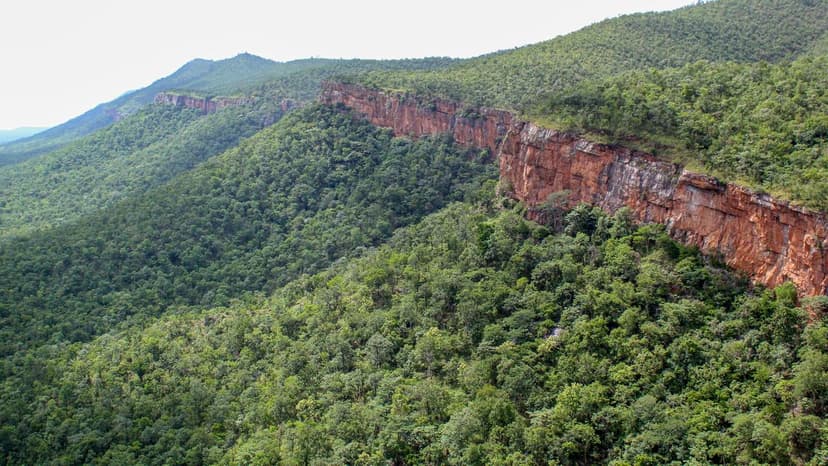 Tirumala Hills to Become 'Carbon-Positive' Oasis in Decade-Long Greening Mission