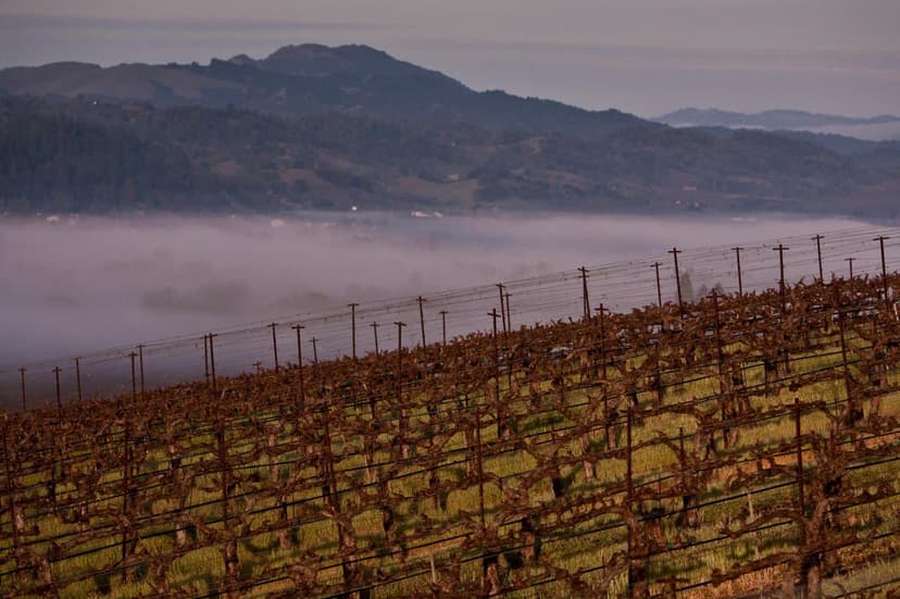 Freeze Watch Issued as Temperatures Plummet in Northern California and Southern Oregon