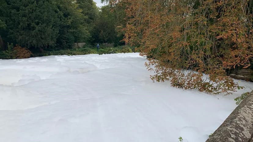 Recurring River Pollution Sparks Calls for Legal Action