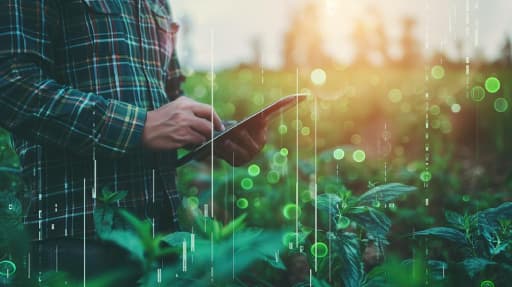 AI's Climate Claims: Greenwashing or Genuine Help?