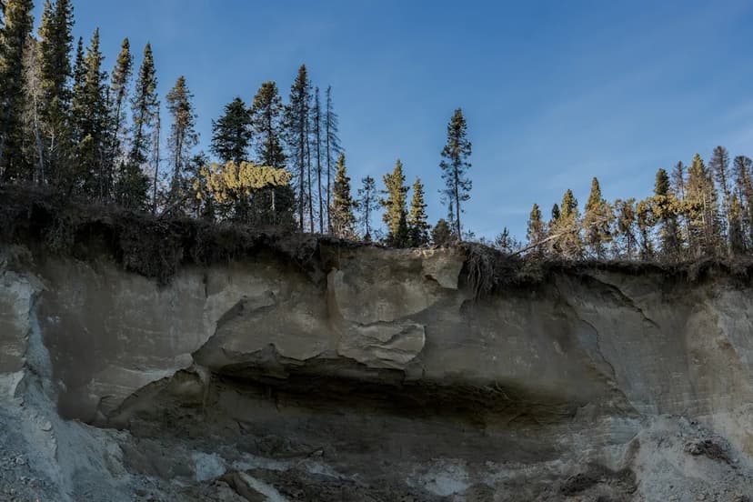 Alaska Mine Road Sparks Climate Clash