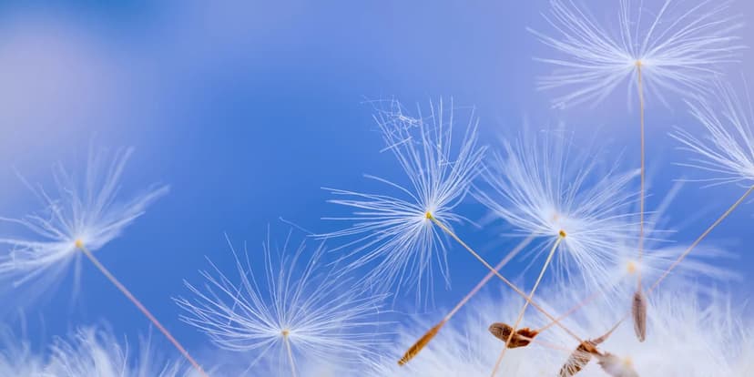 Beyond Sneezes: How Allergies Affect Your Mind