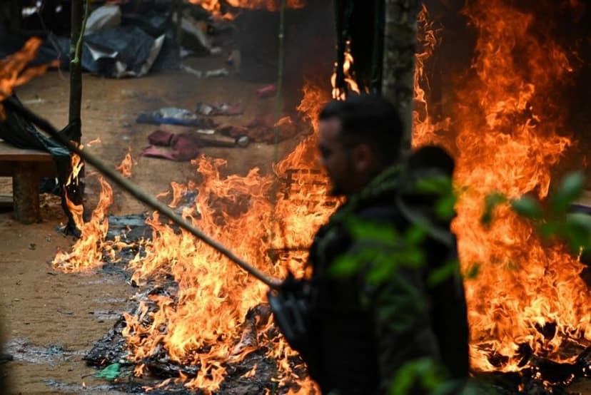 Criminal Networks Drive Amazon's Worsening Deforestation