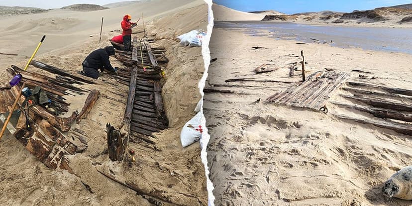 Centuries-Old Shipwreck Emerges from Sable Island Sands