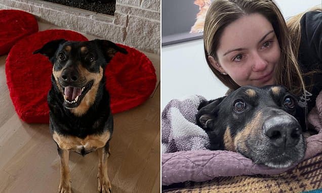 Ariel Winter Mourns Second Dog Loss in Three Months