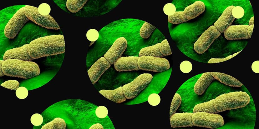 Rare Plague Case in Arizona: Experts Ease Public Concern