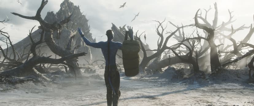 Avatar 3 Tracking: $110M Debut Expected