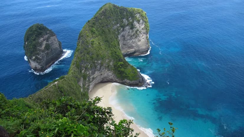 Rare Bali Starling Rebounds from Brink of Extinction