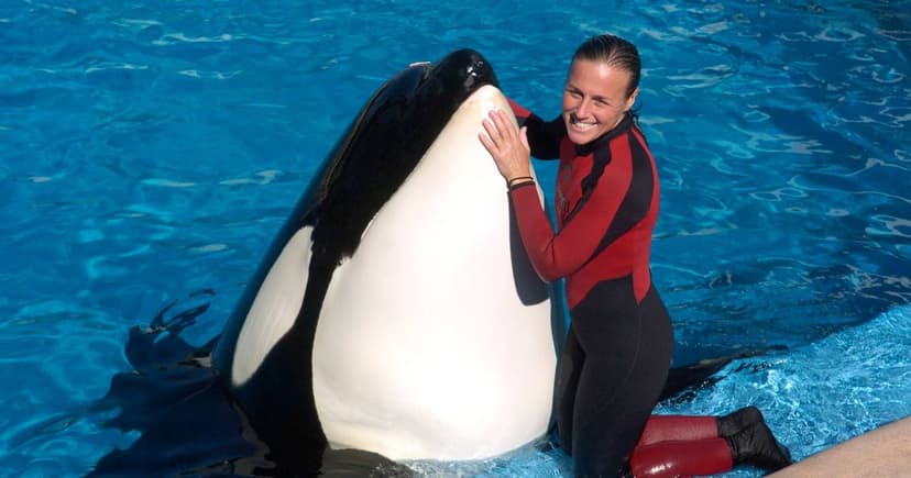 Captive Orca Tilikum's Violent Past Exposed: Three Fatalities Linked to Whale