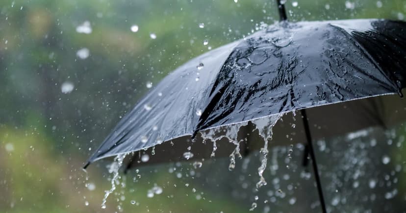 Drought Grips Bay Area: Rain Incoming!