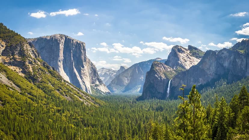 Yosemite Murder Mystery Captivates Viewers, Irks Park Regulars