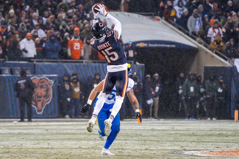 Bears Camp Opens: Who Will Shine This Year?