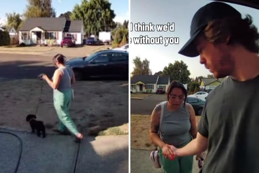 Rare Injury Claims Beloved Toy Poodle's Life