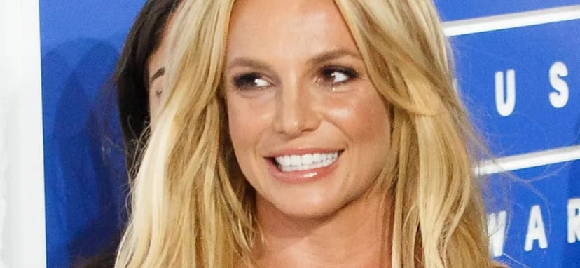 Britney Spears' former bodyguard's troubled past resurfaces