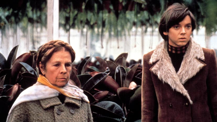 Harold and Maude's Bud Cort Remembered