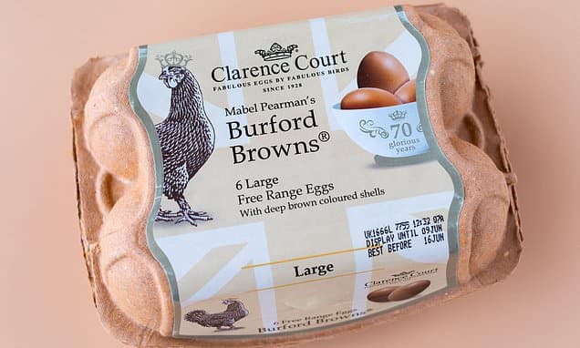 Premium Eggs: Marketing or Masterpiece?