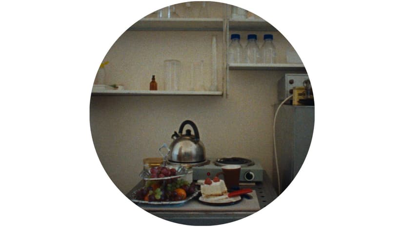 Microfungi Shine in Poetic Documentary 'Holy Destructors'