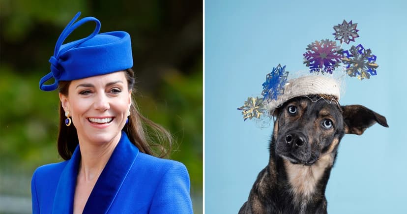Canine Couture: Royal Milliner Dresses Rescue Dogs in Haute Hats