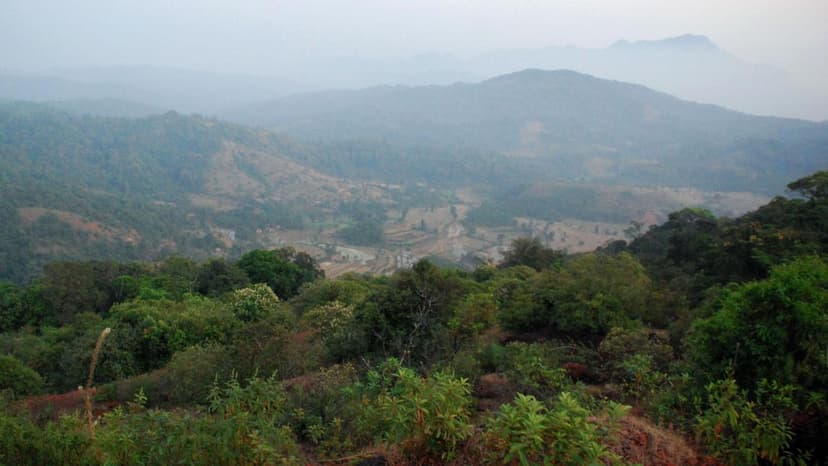 Wildlife Sanctuary Faces Deforestation as Government Considers Diversion