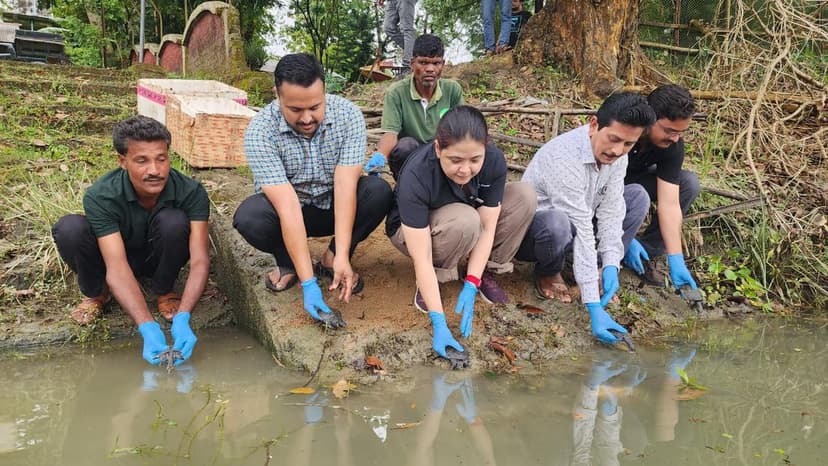 Rare Turtle Hatchlings Rescued and Relocated to Rhino Habitat