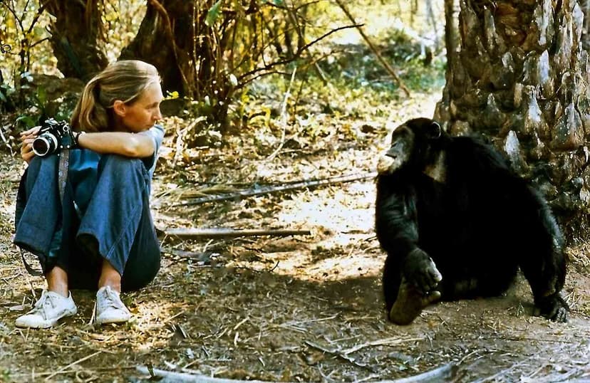Pioneering Primatologist Jane Goodall, Renowned for Chimpanzee Research, Dies at 91