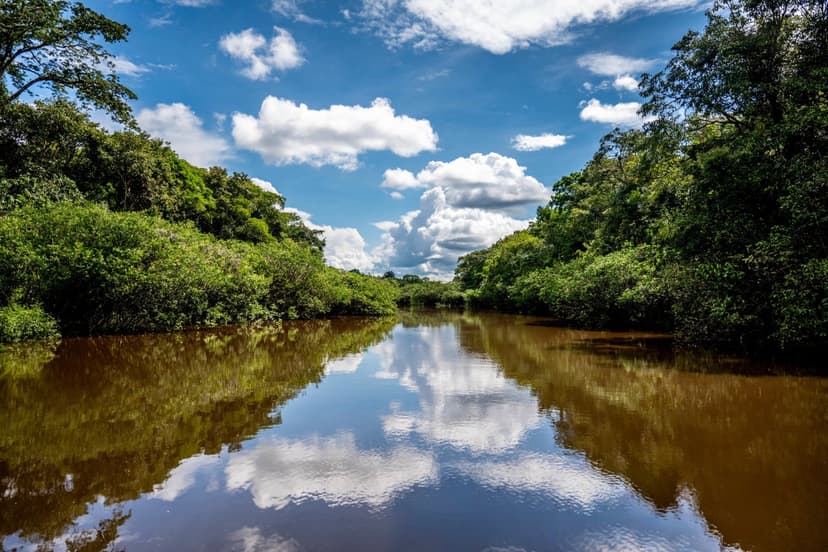 Illegal Mining Poisons Peruvian Amazon, Locals Face Food Insecurity