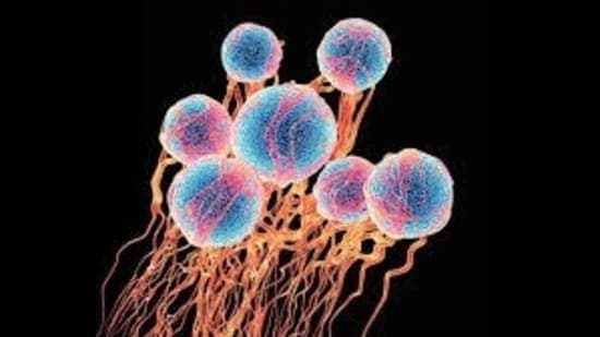 Cancer Blood Test Faces Setback: Early Detection Hopes Dimmed