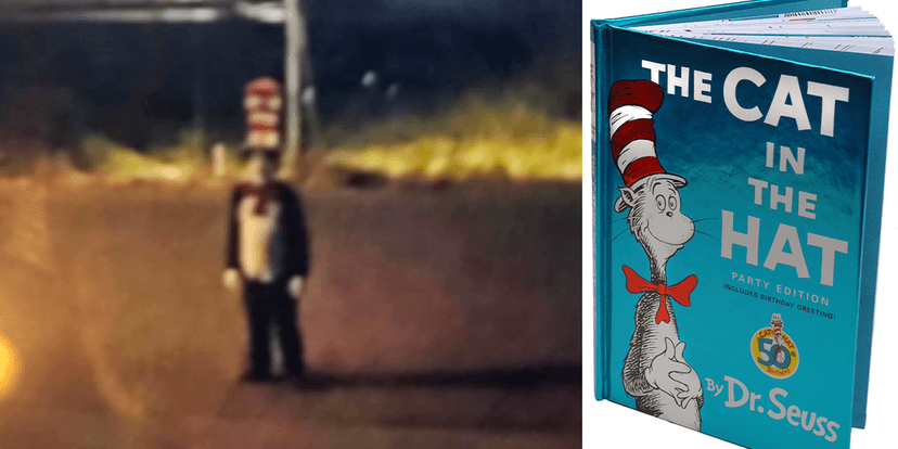 Sinister Cat in the Hat trend sparks arrests nationwide