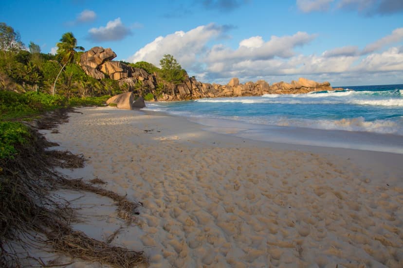 Seychelles Travel Alert: Chikungunya Outbreak Prompts CDC Warning