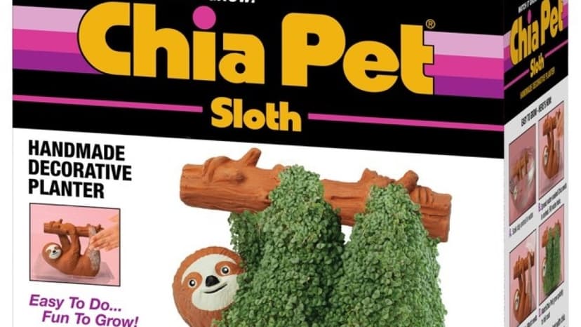 Chia Pet Sprouts New Media Empire!