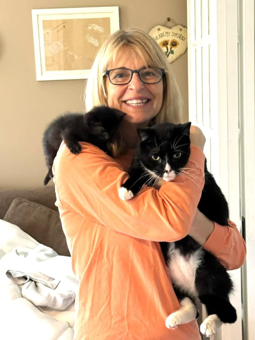 Coastal Cat Rescue: A Labor of Love Saving Felines