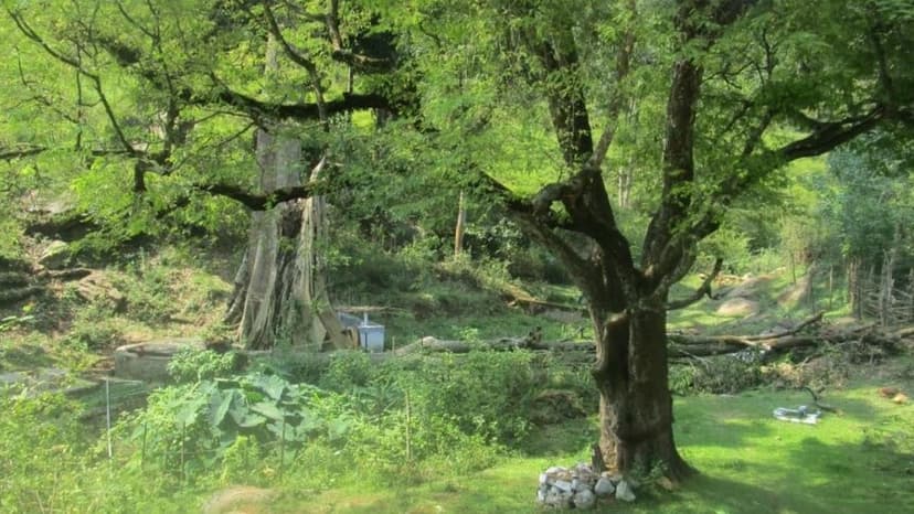 Tamil Nadu Pioneers Community Climate Tracking