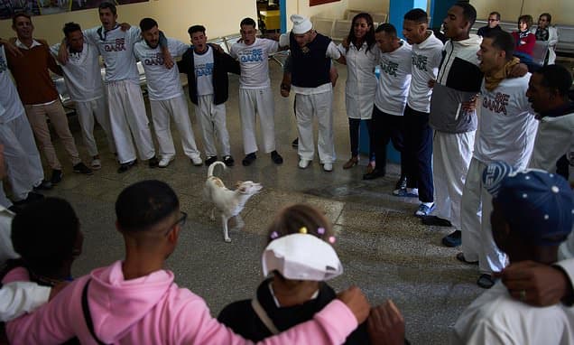 Cuba Battles Rising Tide of Synthetic Drug Use