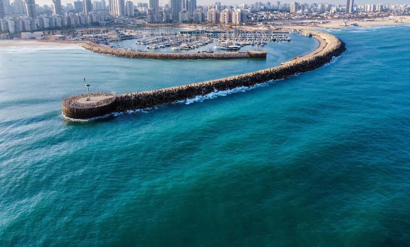 Whale Shark Spotted in Israeli Mediterranean for the First Time