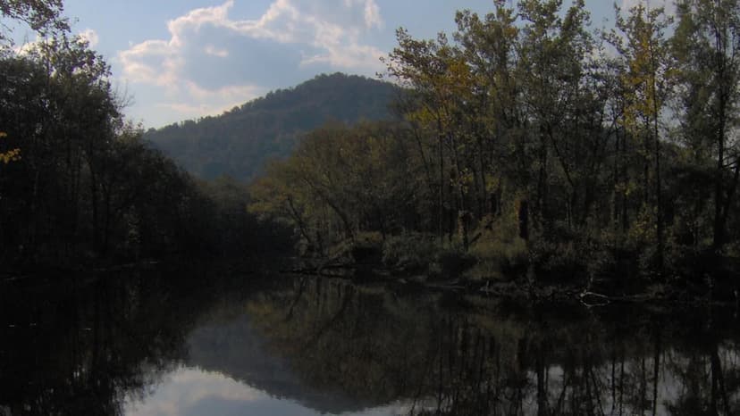 Revived Tennessee State Park Dazzles with Vibrant Fall Foliage