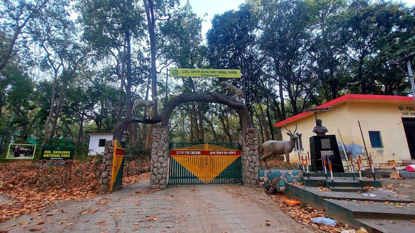 Tribal Lifeline or Ecological Threat? Debate Rages Over Puruwala-Simbalbara Road