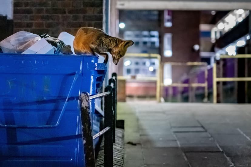 Tackling the Quiet Scandal: UK's Food Waste Crisis Exposed