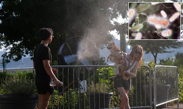 Deadly Lung Disease Surges Amidst Heatwaves