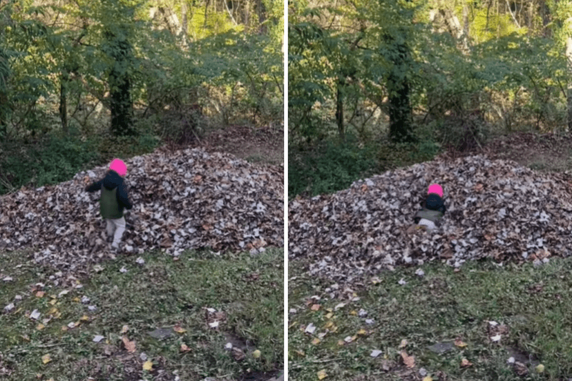 Deer Discovers Toddler's Leaf Pile Playground!