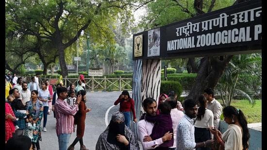 Zoo Antelopes Die from Rat Poison Exposure