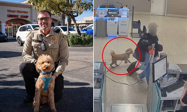 Officer Adopts Dog Left at Las Vegas Airport