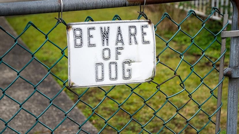 Dog Bites Surge: US Emergency Visits Climb