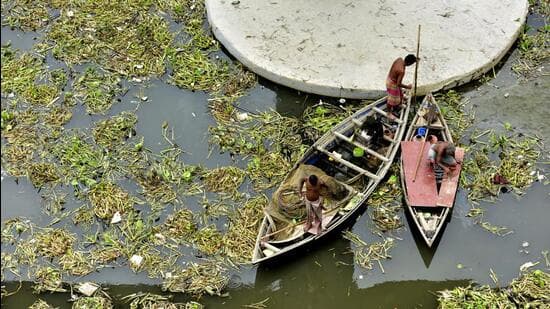 DPCC Accused of Hiding Yamuna Pollution Data