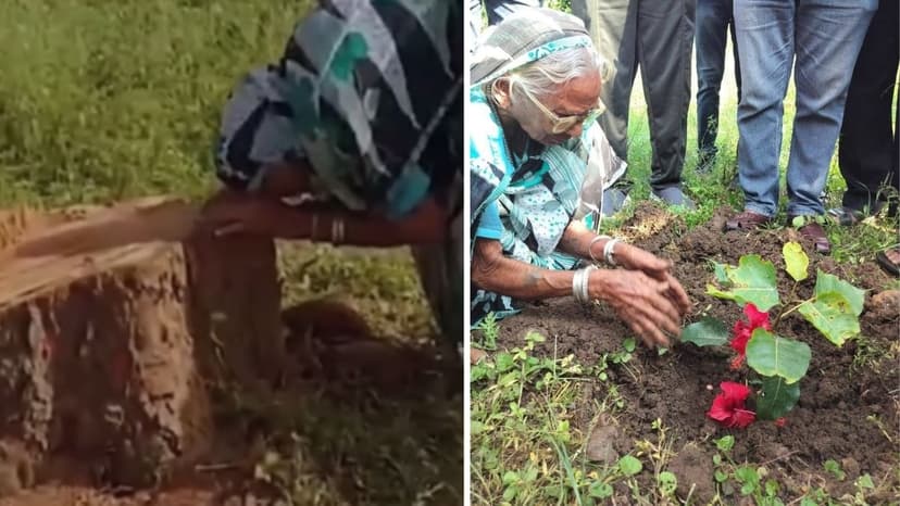 Elderly Woman's Tears as Beloved Peepal Tree Cut Down in Chhattisgarh