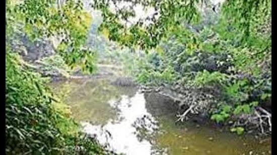 Lucknow Zoo Relocation Faces Legal Hurdles as UP Govt Seeks Supreme Court Clearance