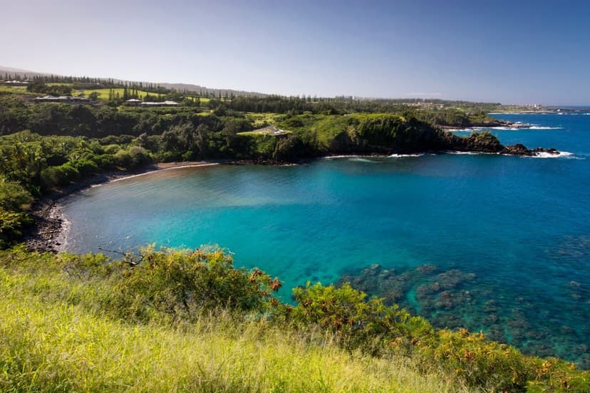 Maui's Honolua Bay to Limit Visitors by Two-Thirds to Revive Coral Reefs