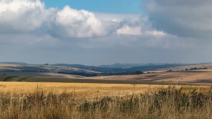 Invasive American Crayfish Disrupt UK's Native Waterways