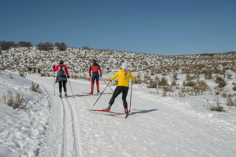 Super El Niño: Snow Deluge or Summer Surprise?