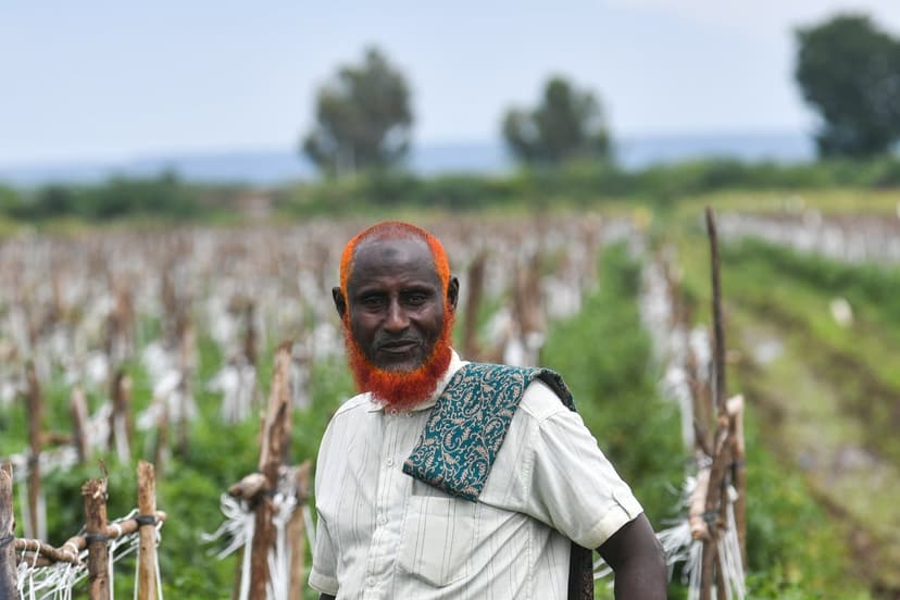 Afar's Pastoralists Shift to Farming Amidst Climate Crisis